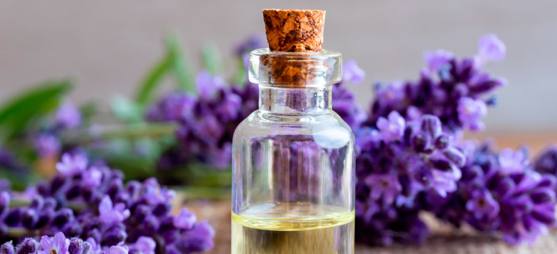7 Essential Oils for Anxiety - Dr. Axe